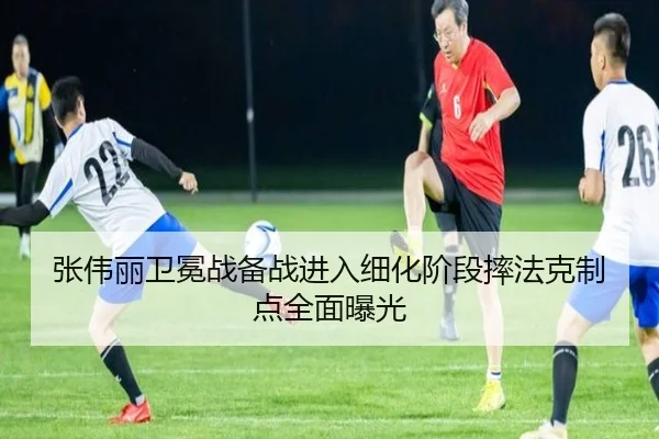 张伟丽卫冕战备战进入细化阶段摔法克制点全面曝光 | Leyu