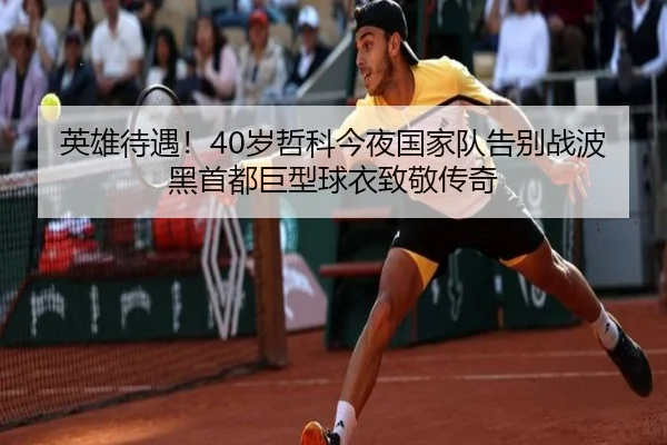 英雄待遇！40岁哲科今夜国家队告别战波黑首都巨型球衣致敬传奇 | Leyu
